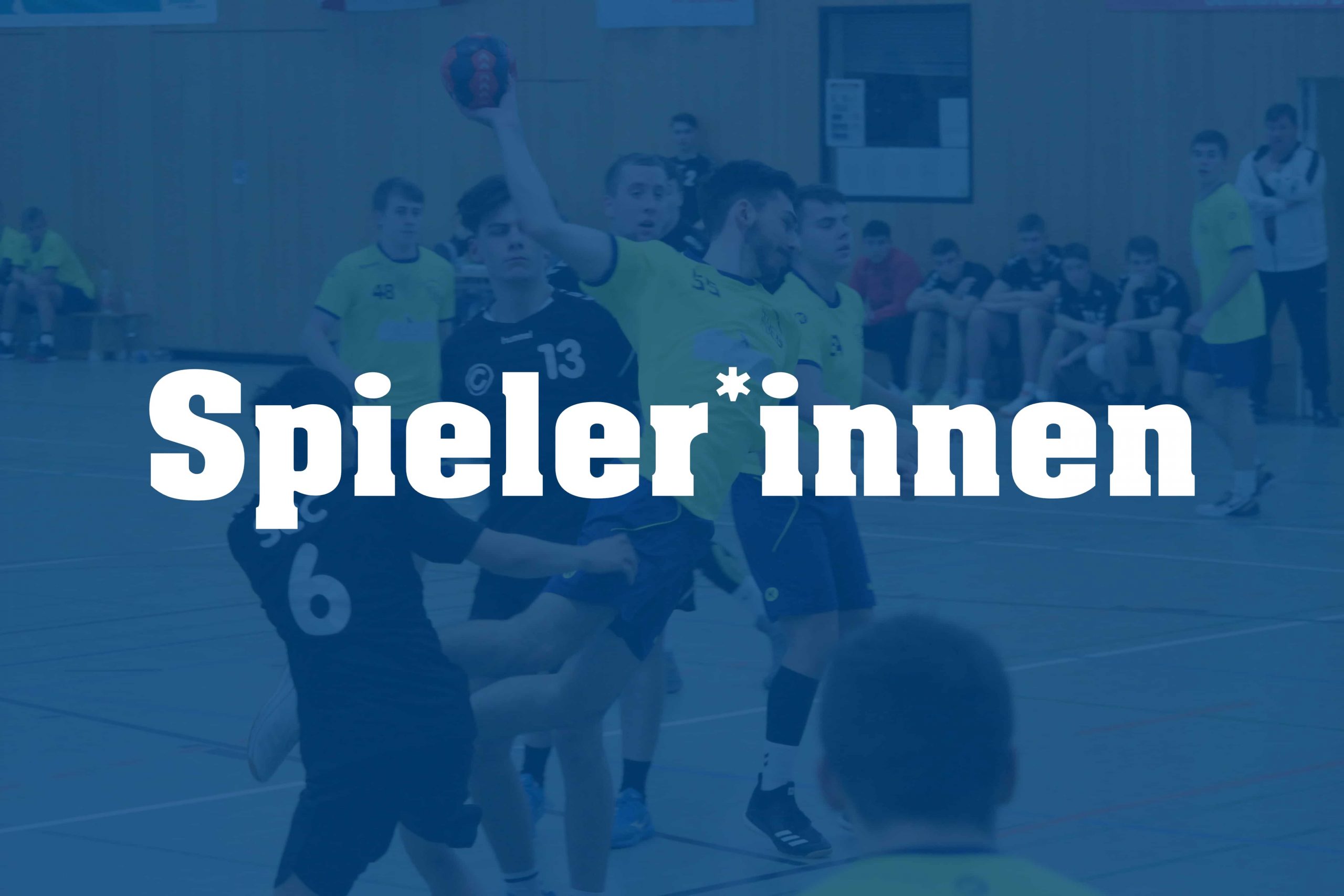 Anzeigebild Spieler innen